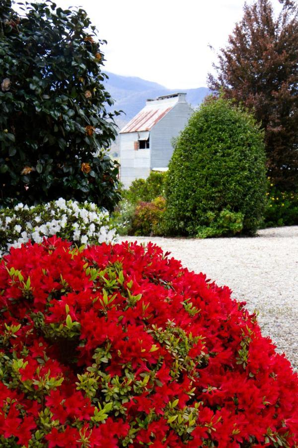 Alpenhorn Holiday Units เมาท์บิวตี ภายนอก รูปภาพ