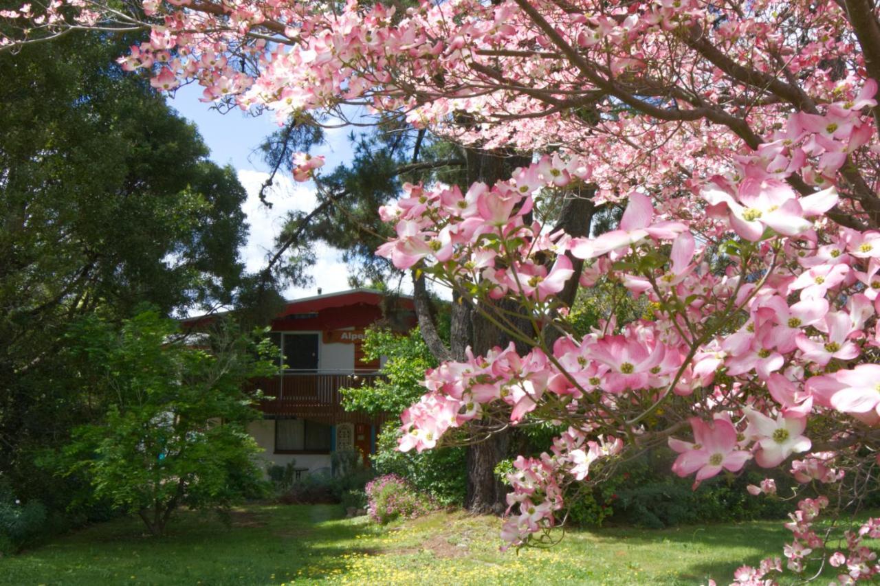 Alpenhorn Holiday Units เมาท์บิวตี ภายนอก รูปภาพ