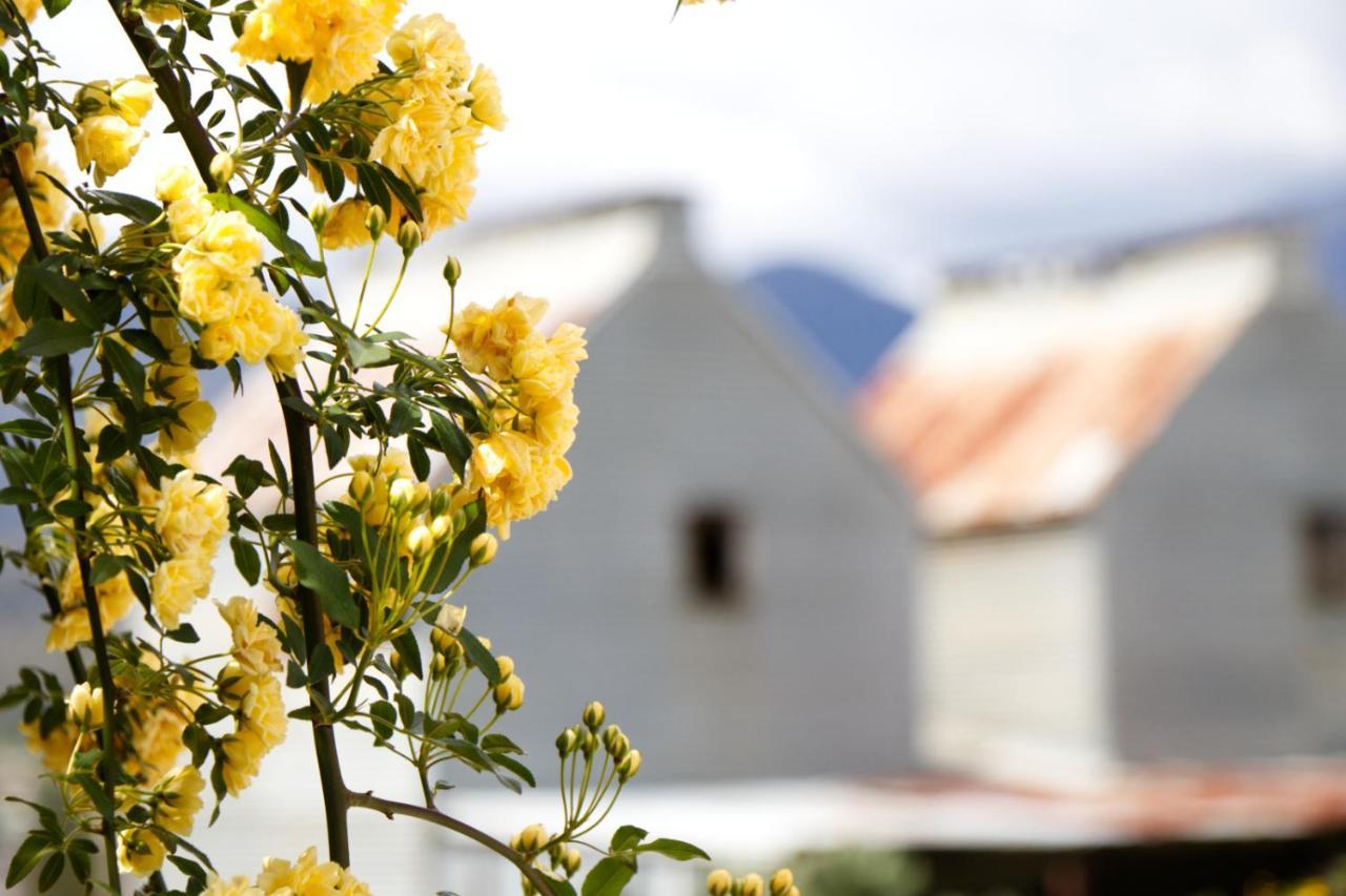 Alpenhorn Holiday Units เมาท์บิวตี ภายนอก รูปภาพ